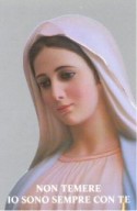 Madonna di Tihalijna - Adesivo per vetro
