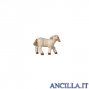 Agnello testa a destra Avvento serie 11 cm