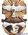 Acquasantiera Spirito Santo