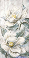 Bellezza fugace