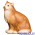 Gatto Cometa serie 25 cm