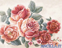 Il fiato delle rose