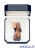 Miniatura Sant'Antonio da Padova con astuccio