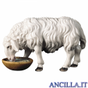 Pecora che beve Ulrich serie 15 cm