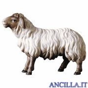 Pecora che guarda avanti testa scura Ulrich serie 12 cm