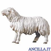 Pecora che guarda avanti Ulrich serie 15 cm