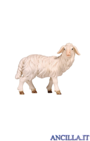 Pecora in piedi testa a destra Kostner serie 48 cm
