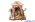 Presepio Rainell Lanterna Notte Santa - 7 pezzi