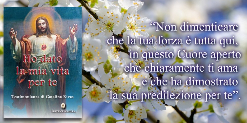 Ho dato la mia vita per te