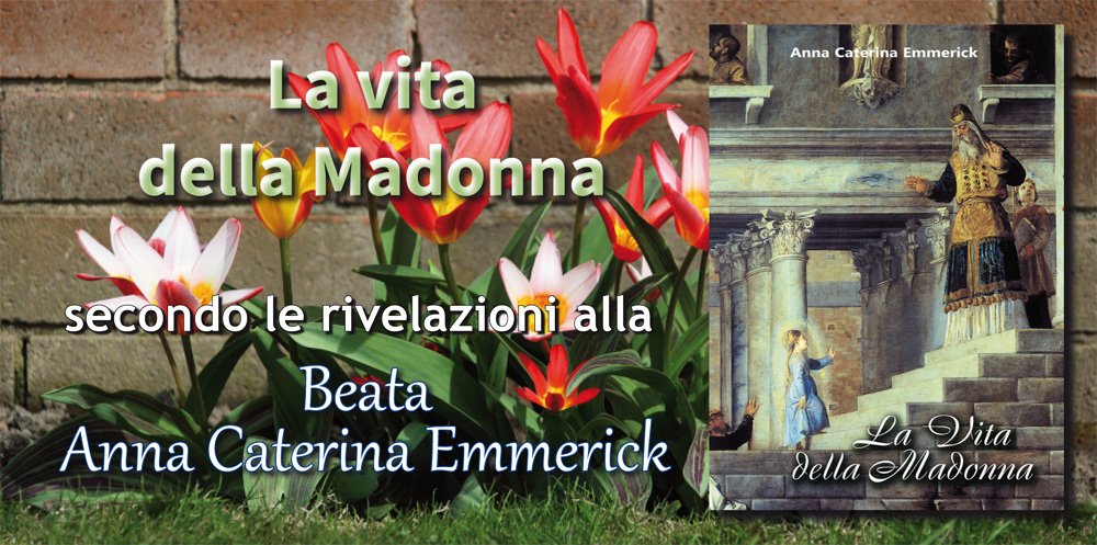 La vita della Madonna